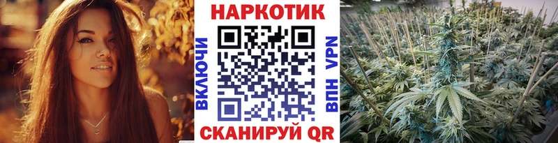 Виды наркотиков купить Козловка Марихуана МЕФ Галлюциногенные грибы Гашиш КОКАИН СК Амфетамин
