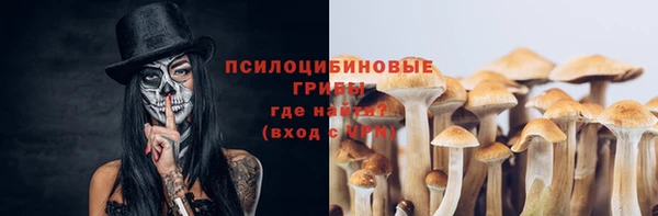 герыч Майский