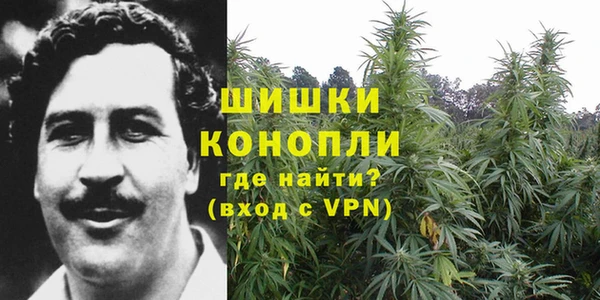 MESCALINE Магас