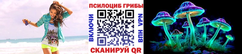 OMG ONION  Козловка  Псилоцибиновые грибы Psilocybe  закладки 